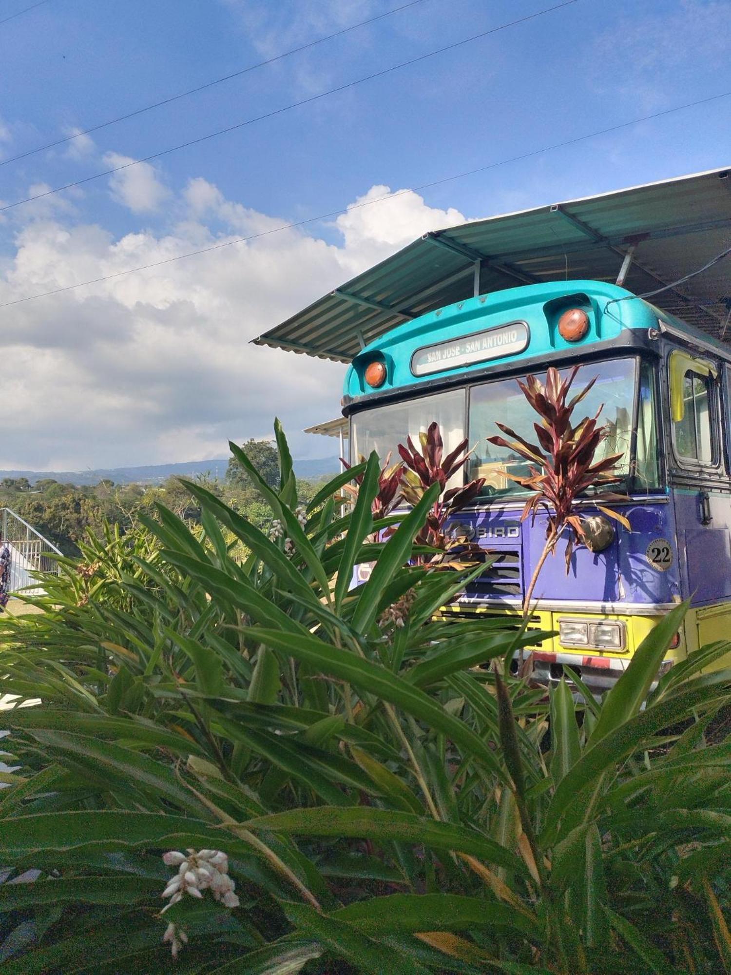 Dreamcatcher House Bus Experience 2 Sarchí Екстериор снимка